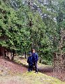 Percoroso botanico (6)